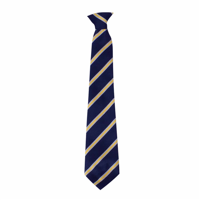 Charles Darwin Primary & Nursery School School Tie