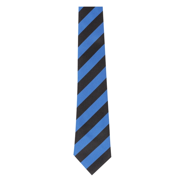 Ely College Turing House Tie