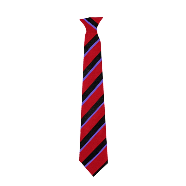 Alcester Grammar School Birch House Tie- Purple