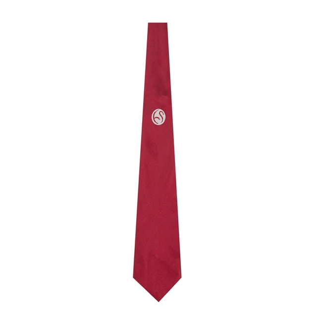 Hampstead School Tie - Year 8 September 2026