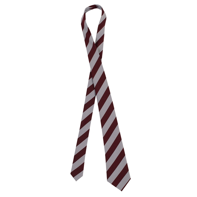 Claygate School Broad Stripe Tie