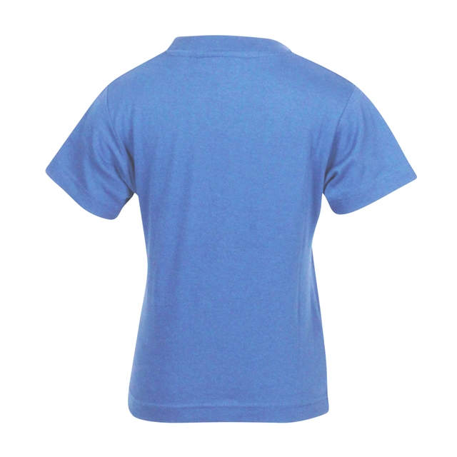 Aldington Primary PE T-Shirt