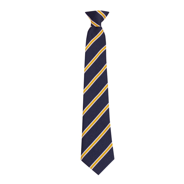 The Market Weighton School Langdale House Tie - Gold