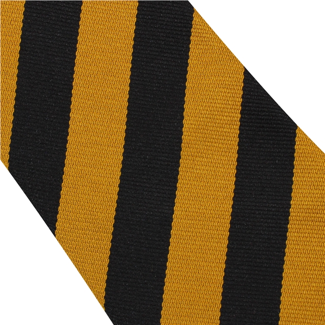 Ely College Etheldreda House Tie
