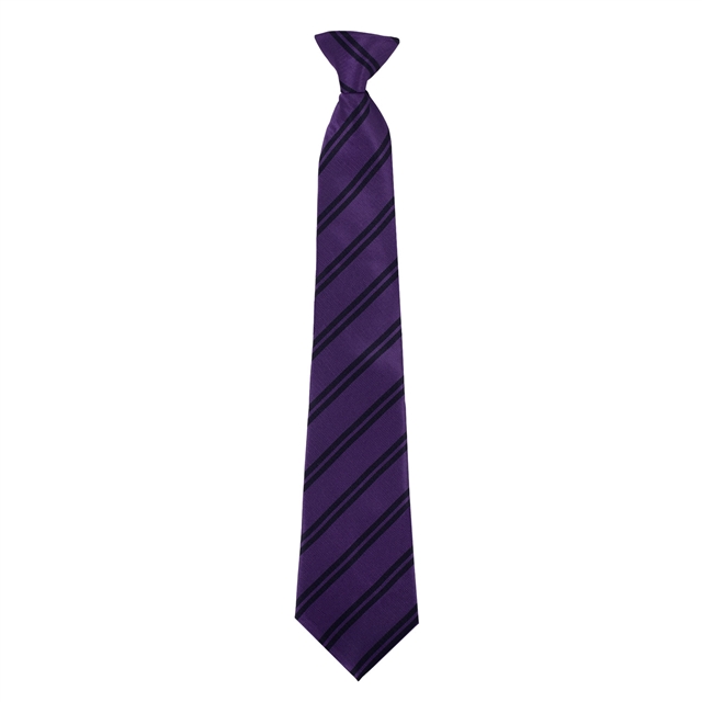 Springwood High School House Tie -  Felbrigg (Purple)
