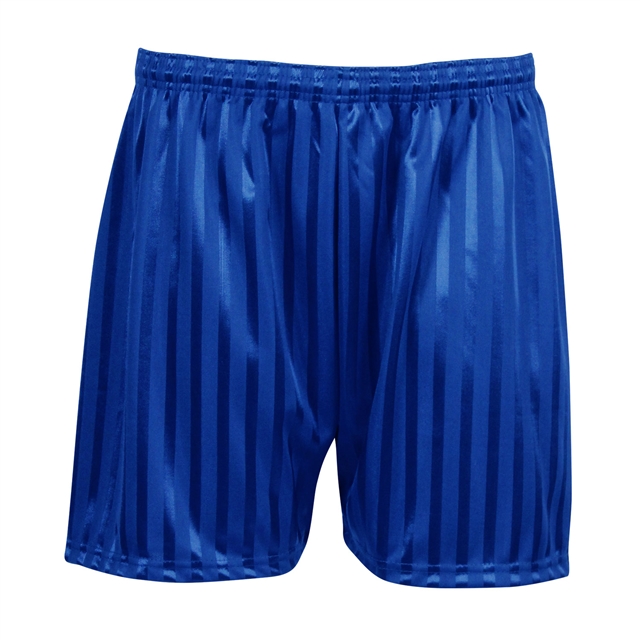 Royal Shadow Stripe PE Shorts
