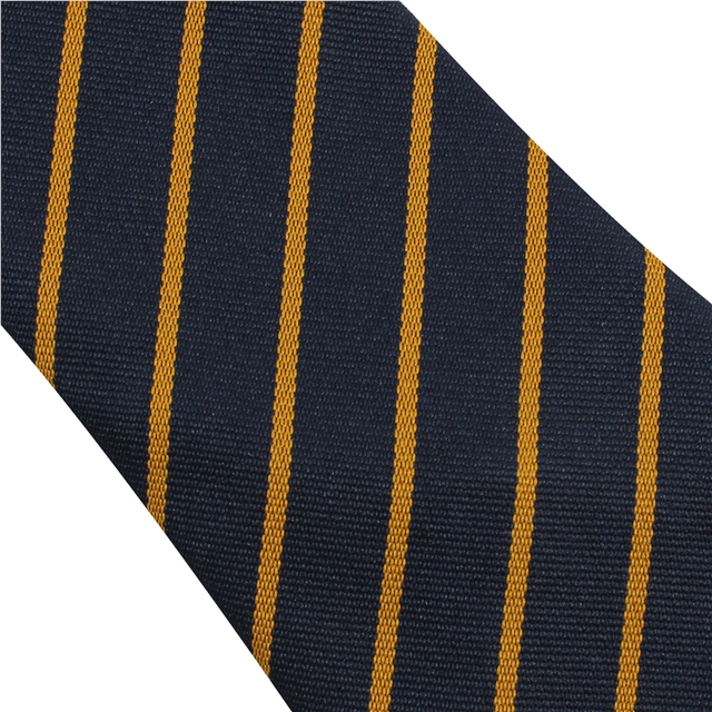 William Howard School Main Thin Stripe Tie