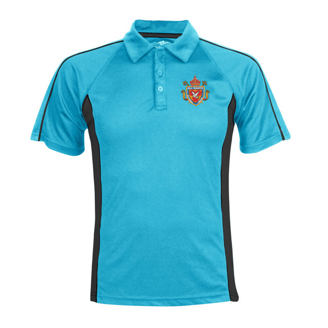 All Saints' CV Academy Sports Polo Shirt