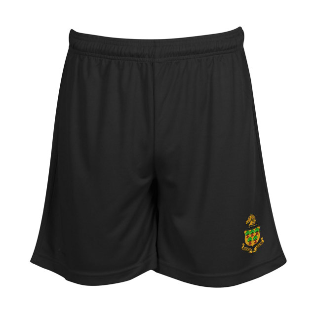 Royal Wootton Bassett Academy Mesh PE Shorts