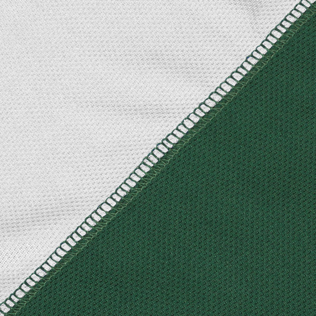 Hinchingbrooke School Reversible Sports Shirt - Cromwell (Green/White)