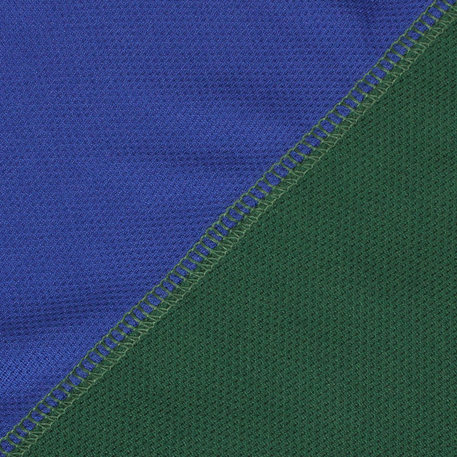 Hinchingbrooke School Reversible Sports Shirt - Sparrow (Green/Blue)