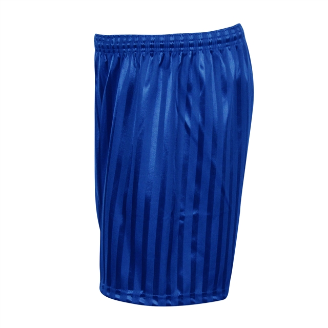 Royal Shadow Stripe PE Shorts