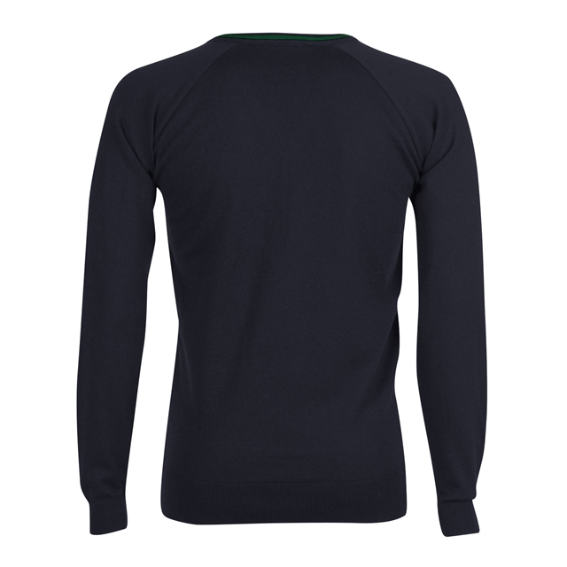 Backwell Secondary School V-Neck Jumper with Stripe - Sedgemoor (Navy/Bottle)