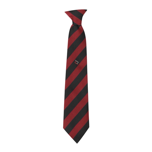 Hethersett Academy School Tie
