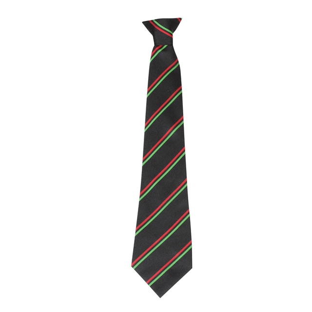 GTS Academy House Tie - Discovery - Red/Emerald