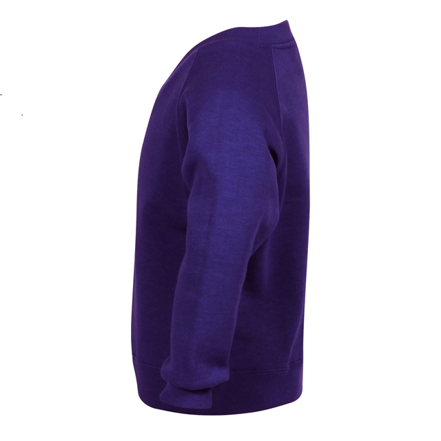 Purple V-Neck Sweatshirt