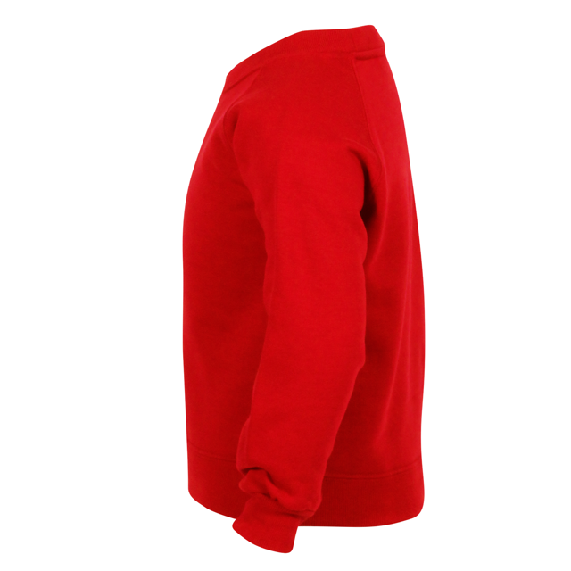 Mendip Green Primary Crew Neck Sweatshirt