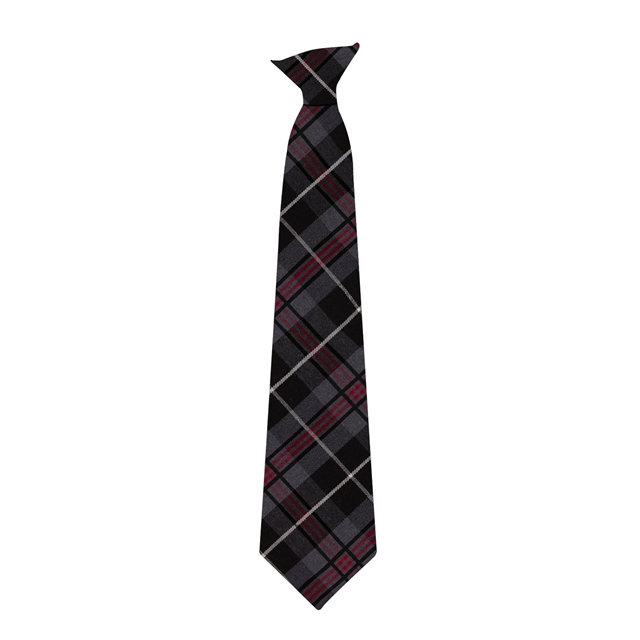 The John Wallis Academy Tartan School Tie