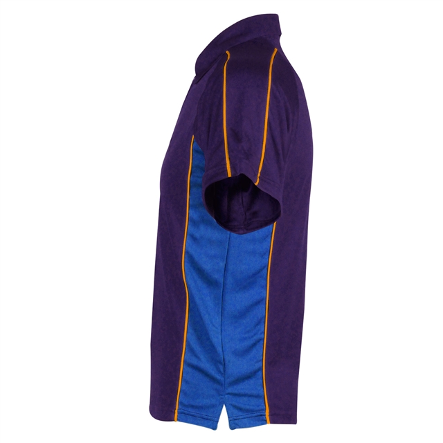 Oxford Spires Academy PE Polo  - Bannister House (Blue)
