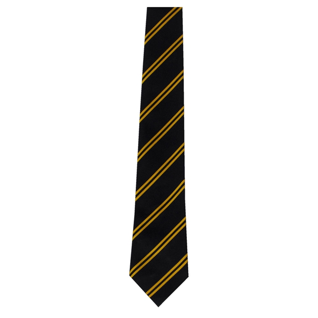 The Grange School Double Striped Tie