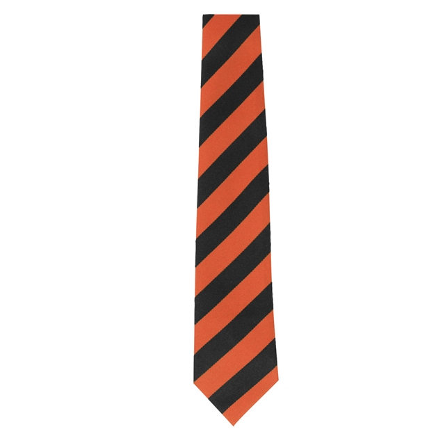 Ely College Equiano Orange House Tie