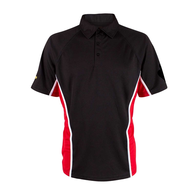 Hethersett Academy PE Polo - Printed Sleeve
