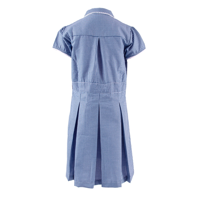 Meadow Green Primary Gingham Summer Dress