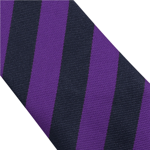Dover Christ Church Academy Tempest House Tie 
