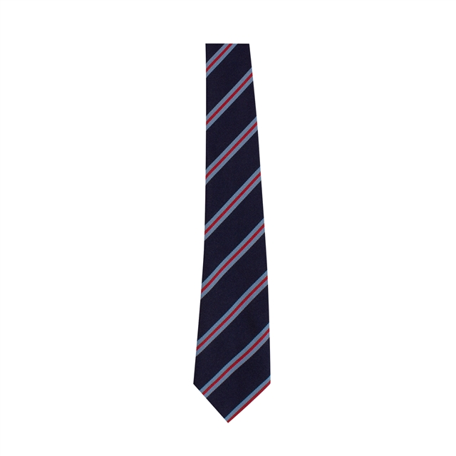 Bruntcliffe Academy House Tie - Peacock (Red)