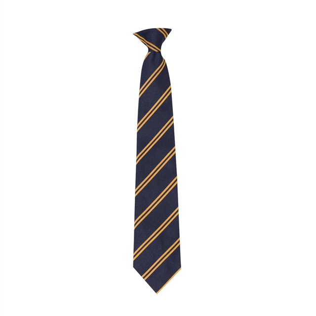 Hallfield Primary School Double Stripe Tie