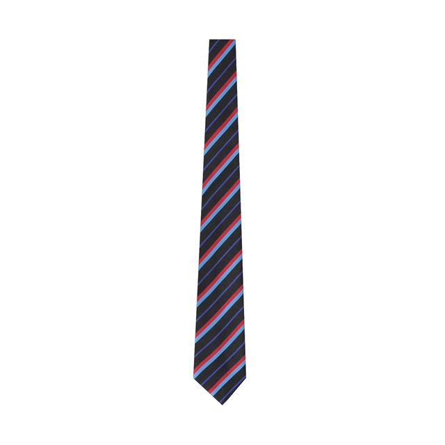 Dyke House College Blue Tie