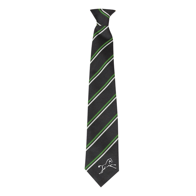 Ridgeway Tie - EMERALD