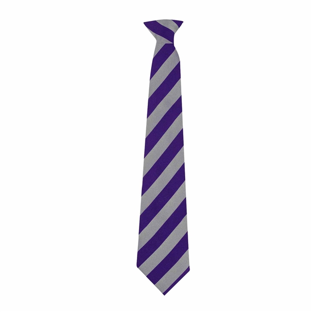 Thetford Academy School Tie