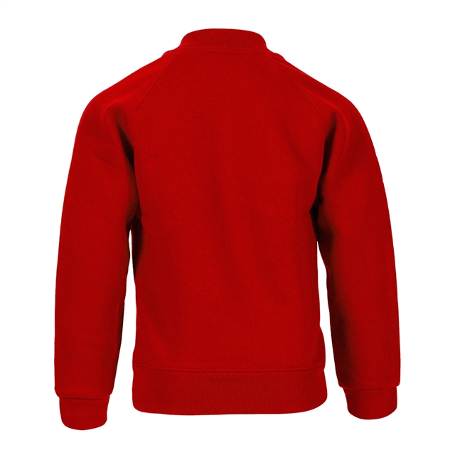 Cotton Rich V-Neck Sweatshirt