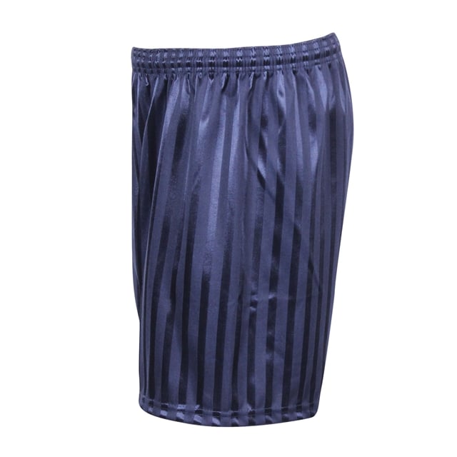 Navy Shadow Stripe PE Shorts