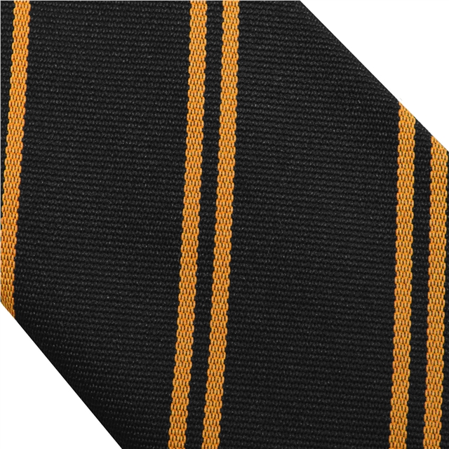 Double Stripe School Tie
