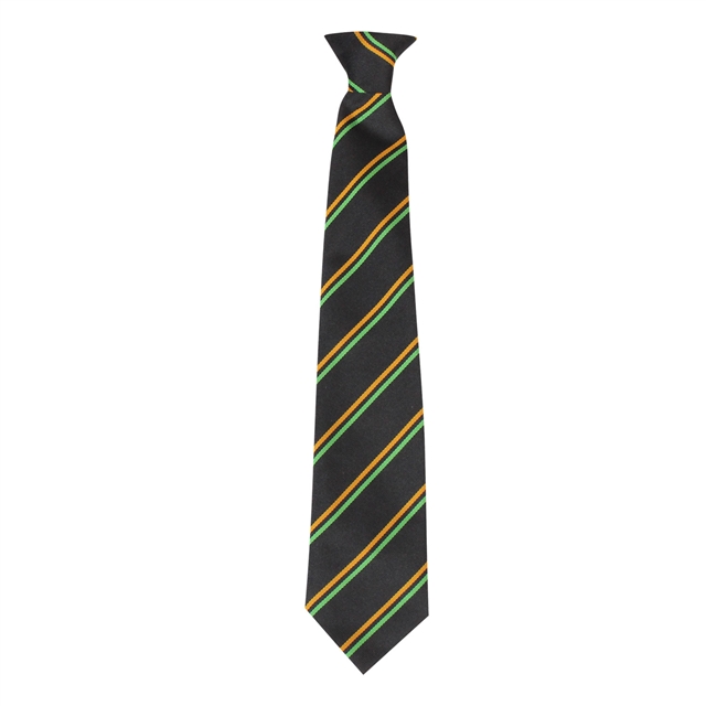 GTS Academy House Tie - Endurance - Gold/Emerald
