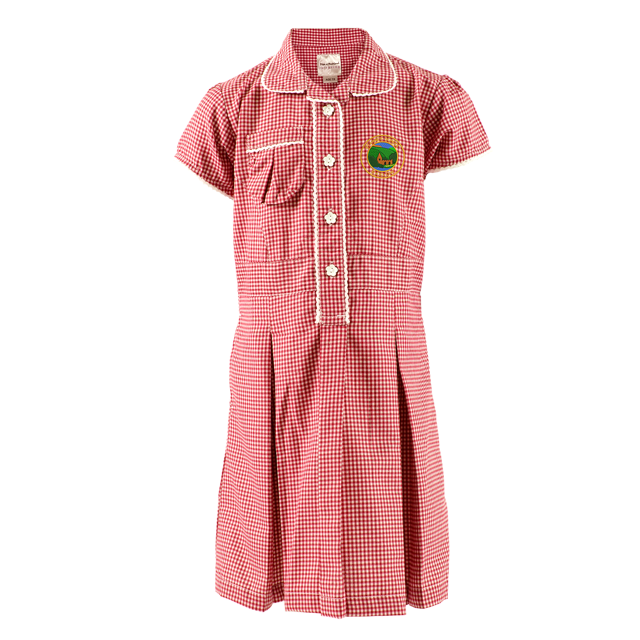 Baslow St Annes C of E Primary School Gingham Summer Dress