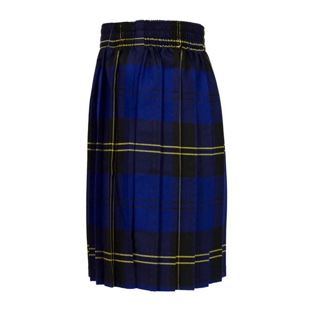 Charles Darwin Primary & Nursery School Tartan Skirt
