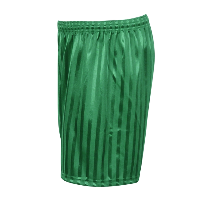 Emerald Shadow Stripe PE Shorts