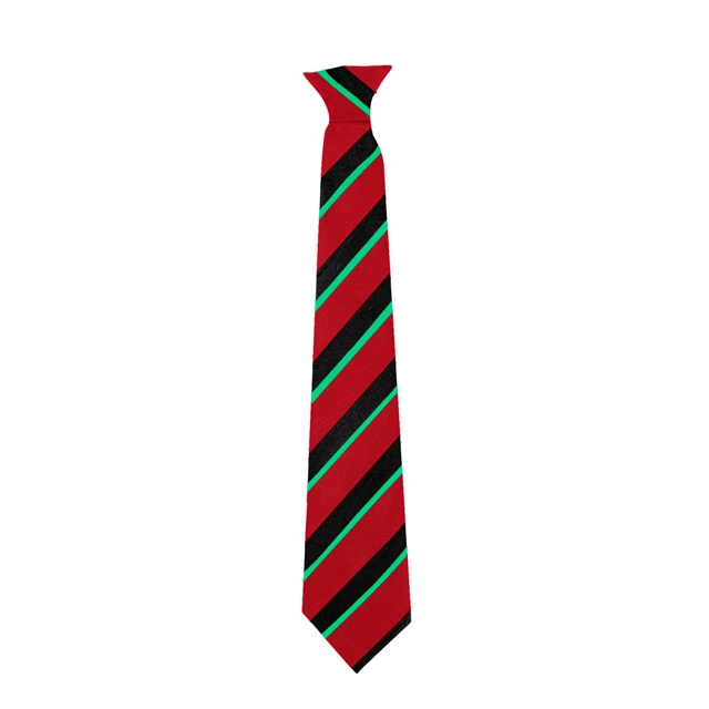 Alcester Grammar School Alder House Tie- Green