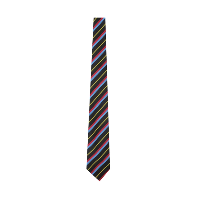 Dyke House College Yellow Tie