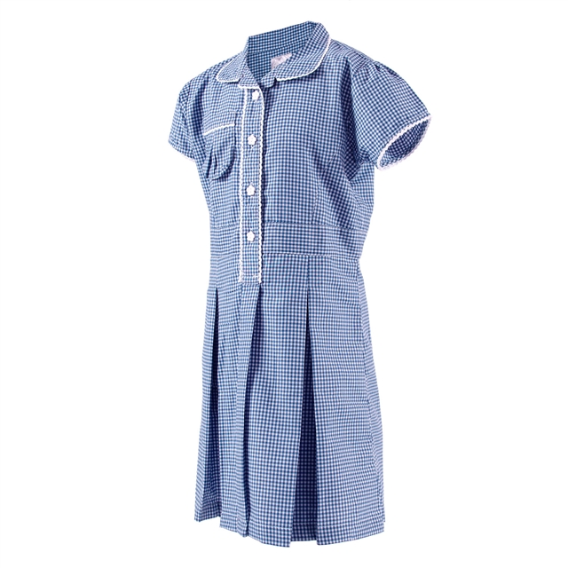 Meadow Green Primary Gingham Summer Dress