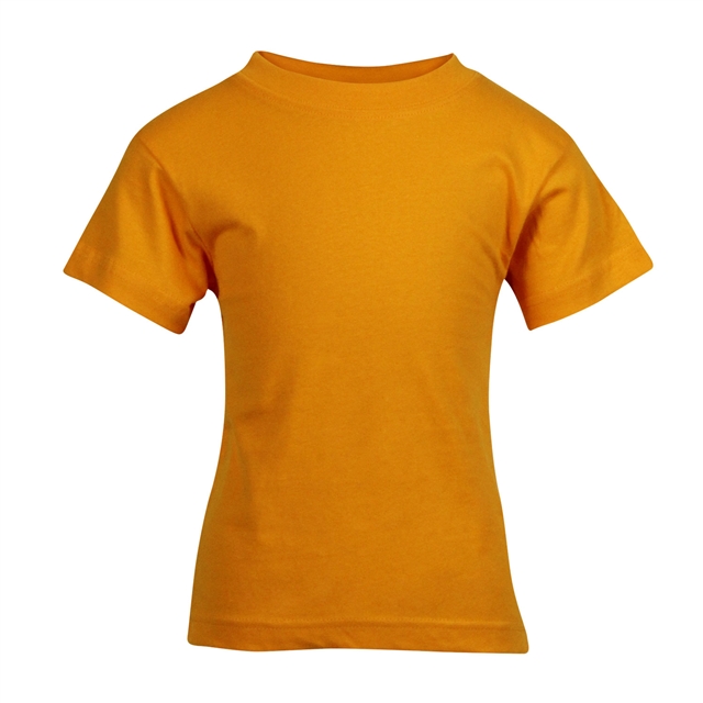 Bishops Hull Primary School PE T-Shirt