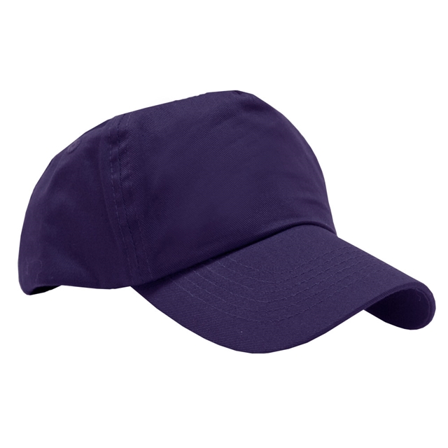 Purple Baseball Cap