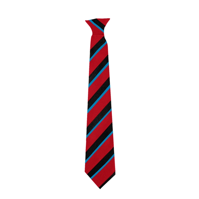 Alcester Grammar School Hawthorn House Tie- Blue