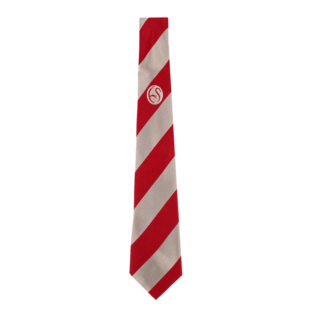 Hampstead School Tie - Year 9 September 2026