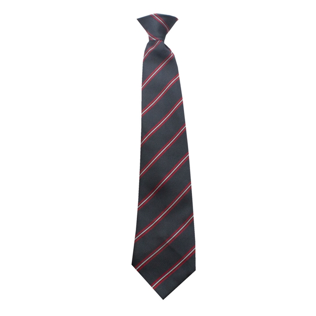 Royal Wootton Bassett Academy School Tie