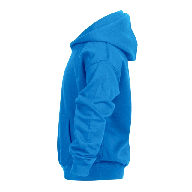 Alpington & Bergh Apton Primary School Hoodie