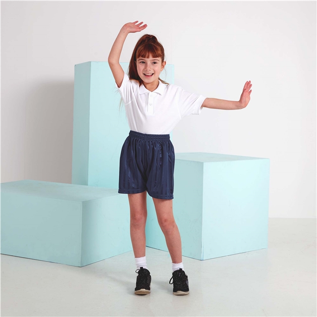 Navy Shadow Stripe PE Shorts